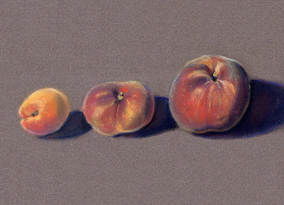 Apricot peaches pastel drawing