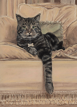 Edward pastel cat portrait