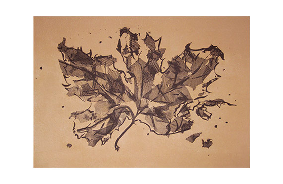 Dry leaf 1 photolithograph