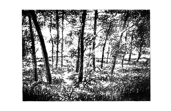 Trees photolithograph